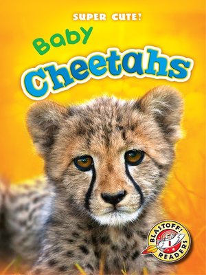 cover image of Baby Cheetahs